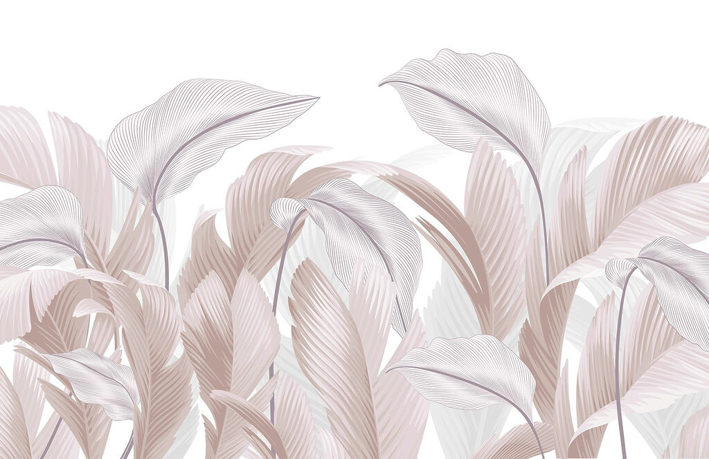 Delicate lines of nature's beauty Delicate lines of nature's beauty