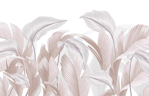 Delicate lines of nature's beauty Delicate lines of nature's beauty