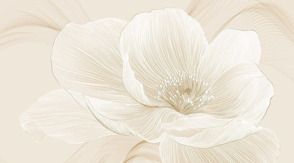 Delicate lines defining floral beauty Delicate lines defining floral beauty