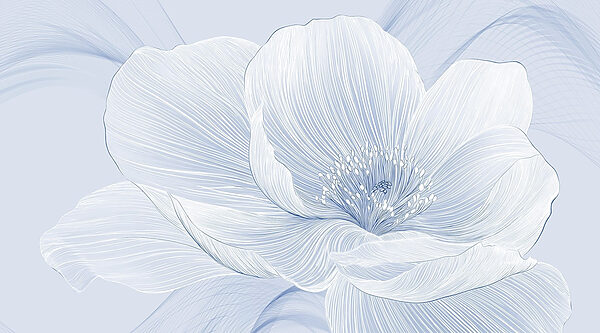 Delicate floral line art design Delicate floral line art design