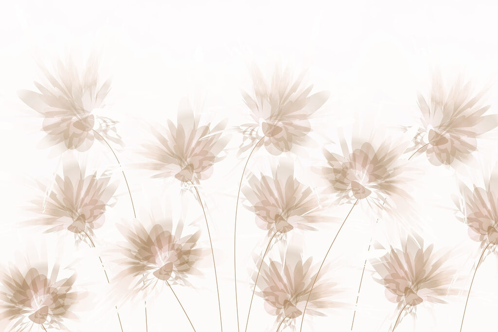 Group of flowers on a white background