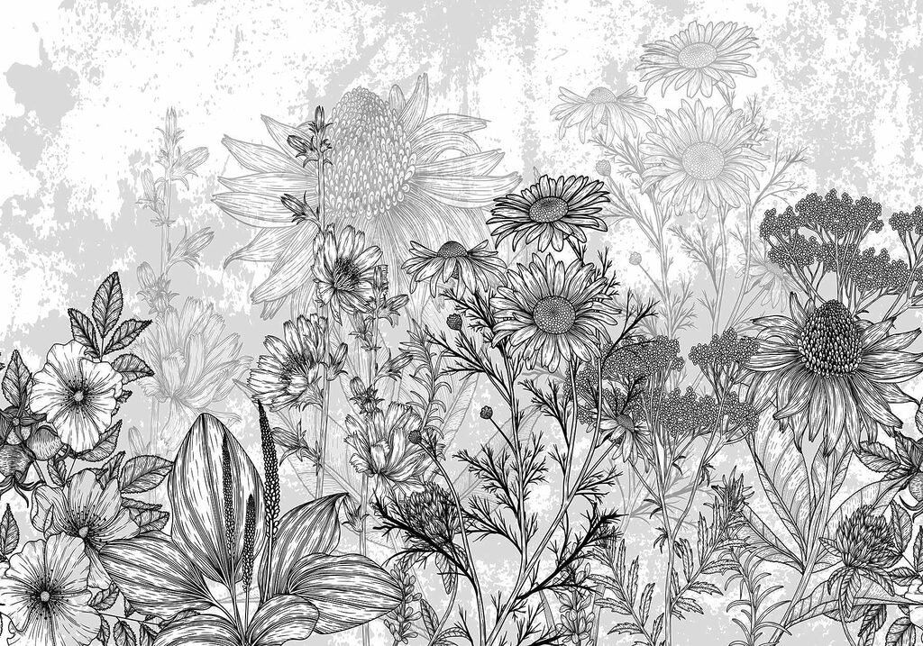 Black and white image of flowers Black and white image of flowers