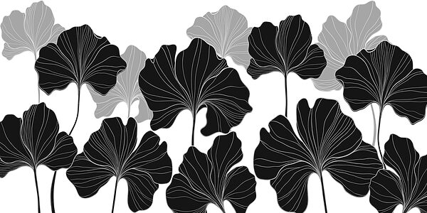 Black and white floral design Black and white floral design