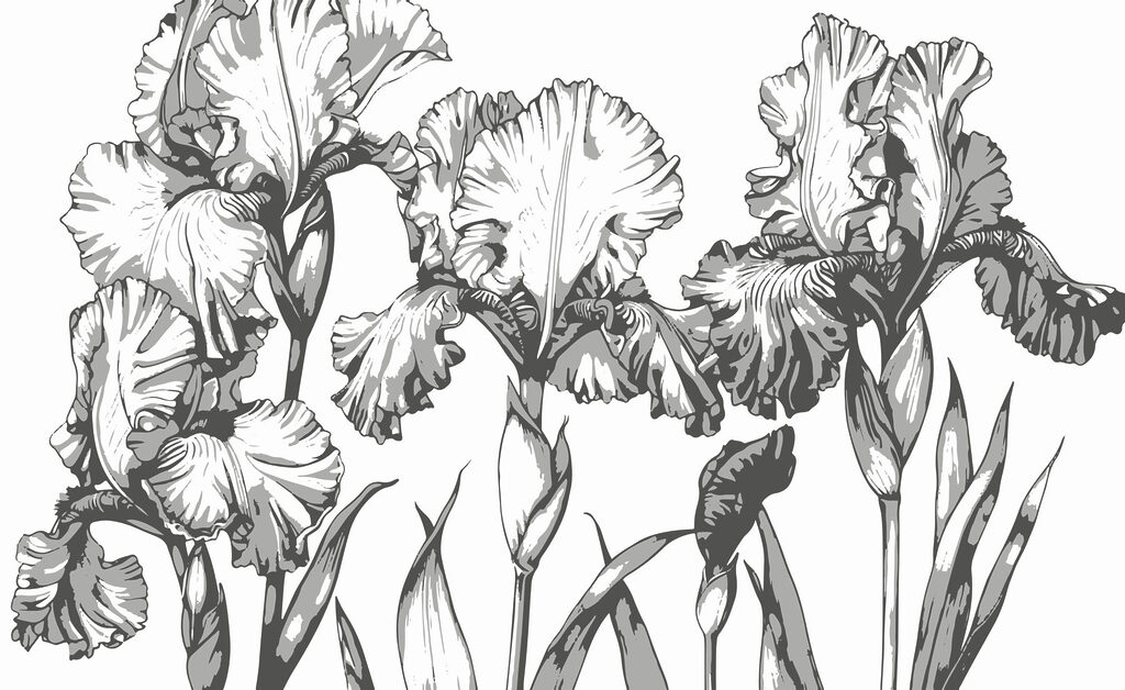 Group of flowers with leaves Group of flowers with leaves