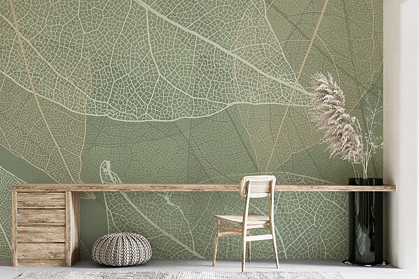 Delicate patterns of nature's design Delicate patterns of nature's design