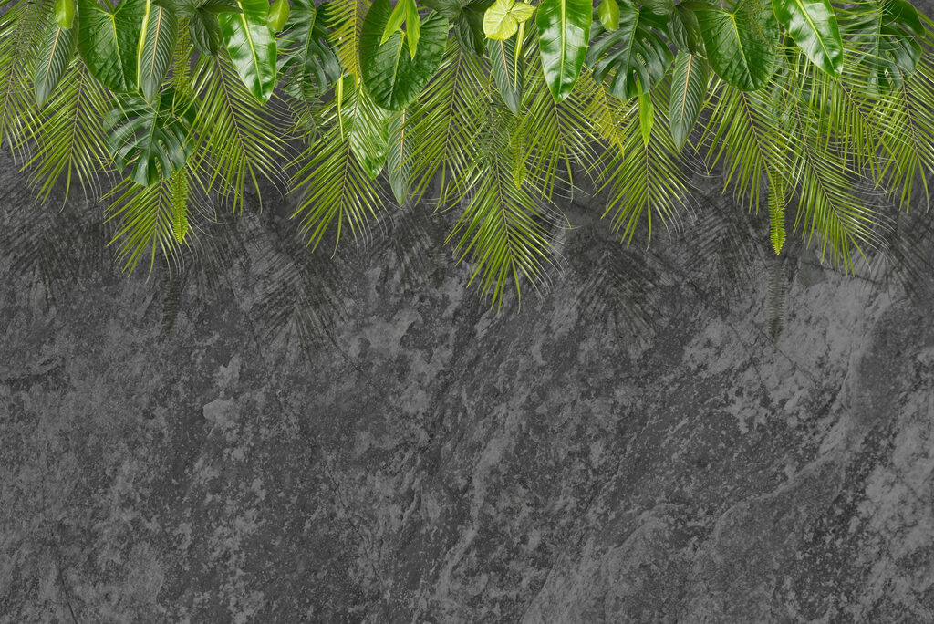 Group of green leaves on a grey background Group of green leaves on a grey background