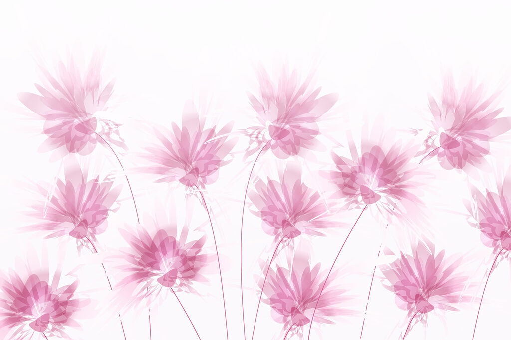 Group of pink flowers w02561p 1024x683 - Group of pink flowers