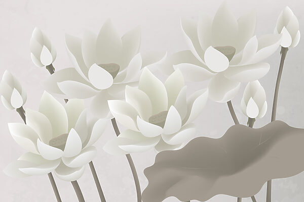 Group of white flowers Group of white flowers