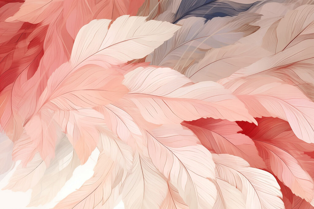 Group of pink and white feathers Group of pink and white feathers