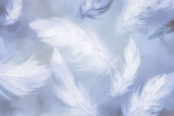 Group of white feathers Group of white feathers