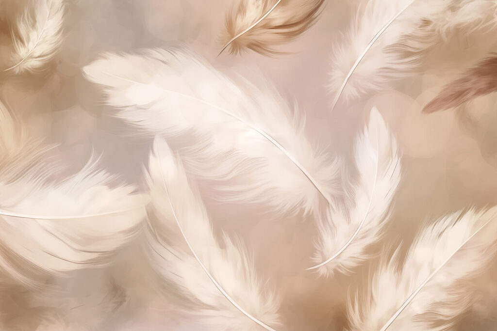 Group of white feathers Group of white feathers