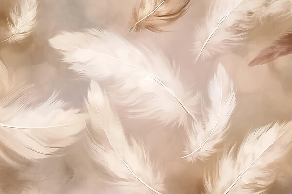 Group of white feathers Group of white feathers