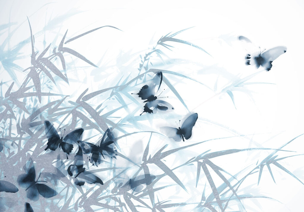 Butterflies on a white background Butterflies on a white background