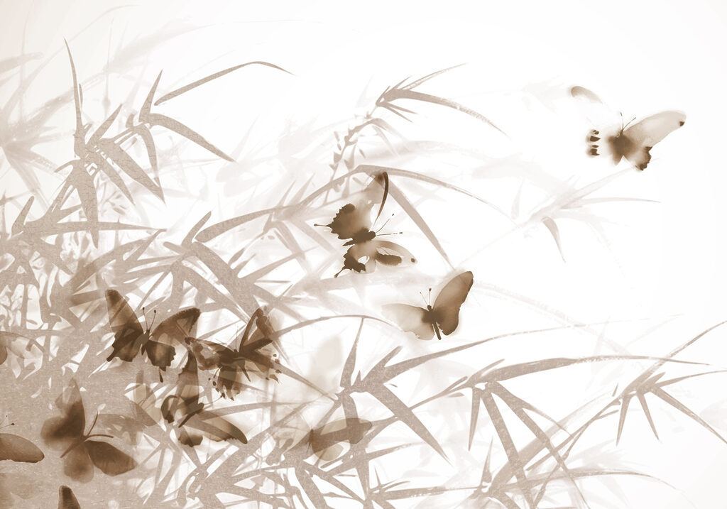 Butterflies on a white surface Butterflies on a white surface