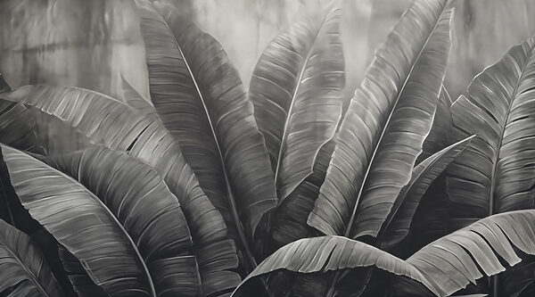 Soft layers of green foliage. Soft layers of green foliage.