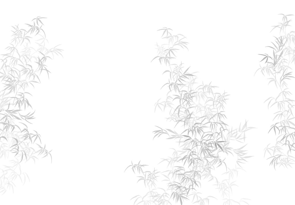 White background with leaves White background with leaves