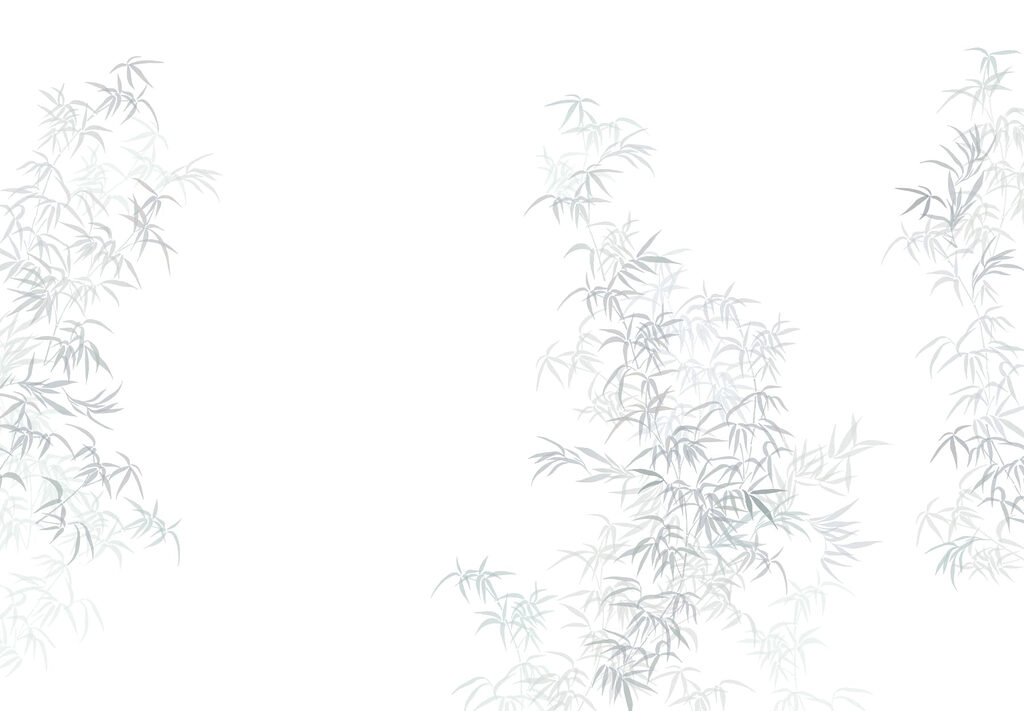 Plant with leaves on it Plant with leaves on it