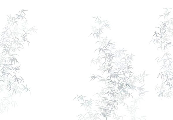 Plant with leaves on it Plant with leaves on it