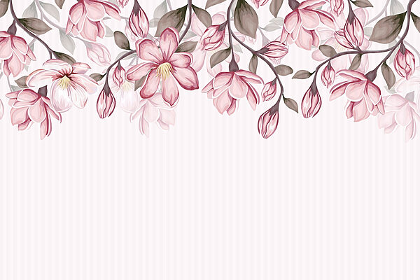 Pink flowers on a white background Pink flowers on a white background