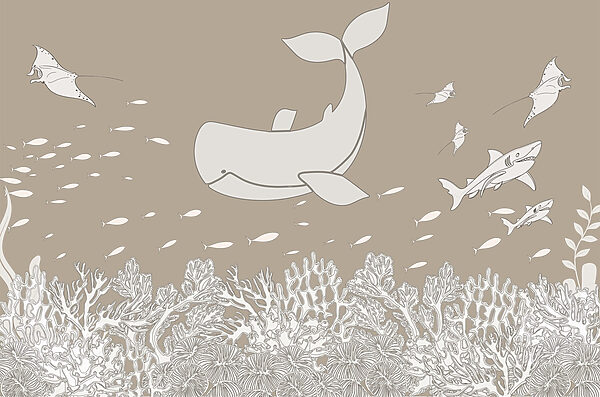 Whale and fish under water Whale and fish under water