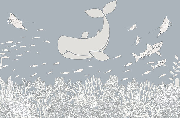 Whale and fish swimming in the ocean Whale and fish swimming in the ocean