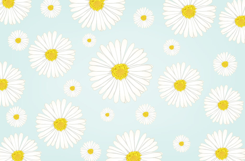 Pattern of white and yellow flowers Pattern of white and yellow flowers