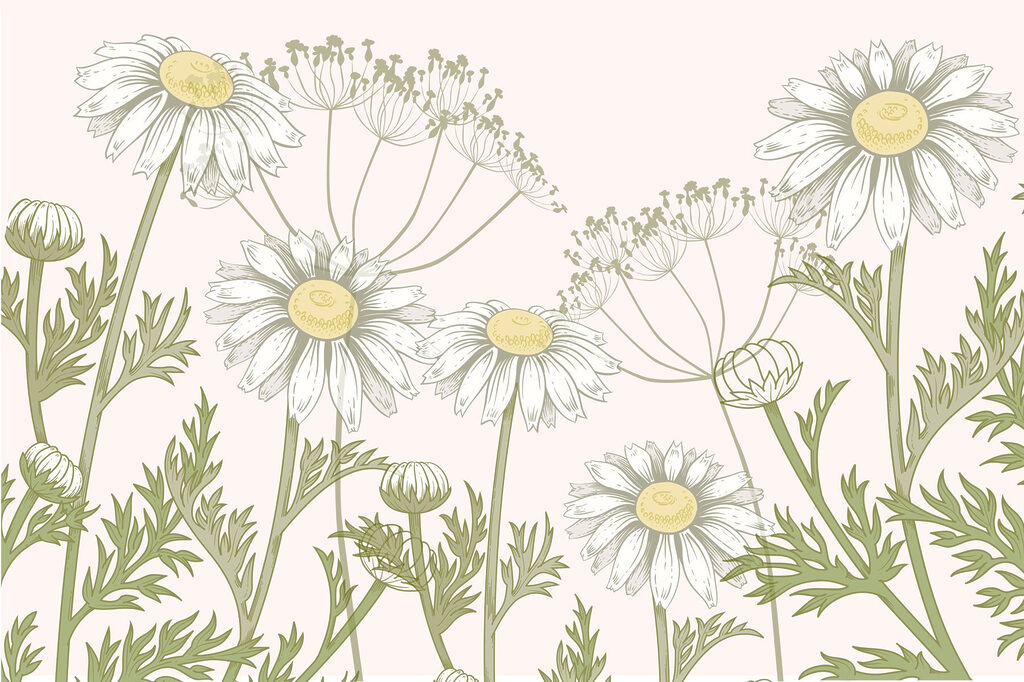 Delicate blooms in soft hues Delicate blooms in soft hues