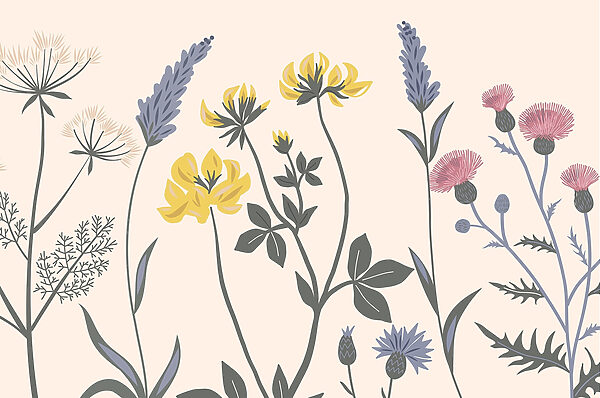 Beautiful bouquet of soft colors Beautiful bouquet of soft colors