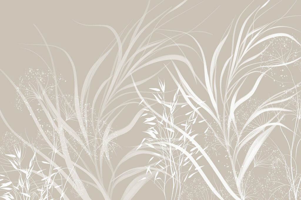 White floral design on a grey background White floral design on a grey background