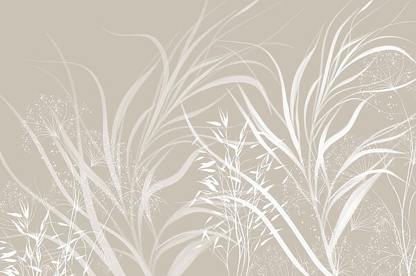 White floral design on a grey background White floral design on a grey background