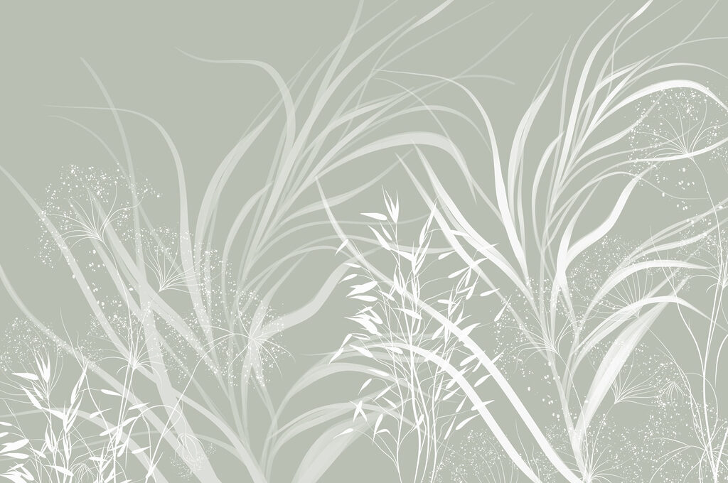 Soft patterns of nature's elegance. Soft patterns of nature's elegance.