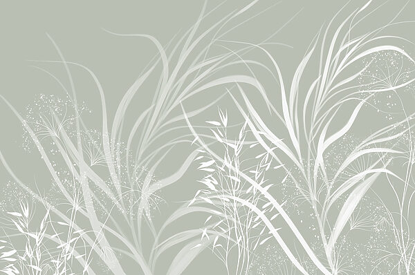 Soft patterns of nature's elegance. Soft patterns of nature's elegance.