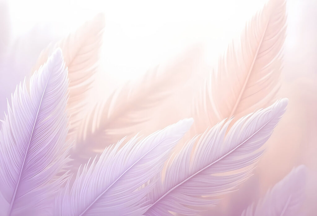 Delicate feathers in soft pastels Delicate feathers in soft pastels