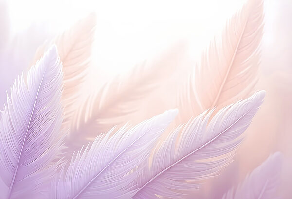 Delicate feathers in soft pastels Delicate feathers in soft pastels