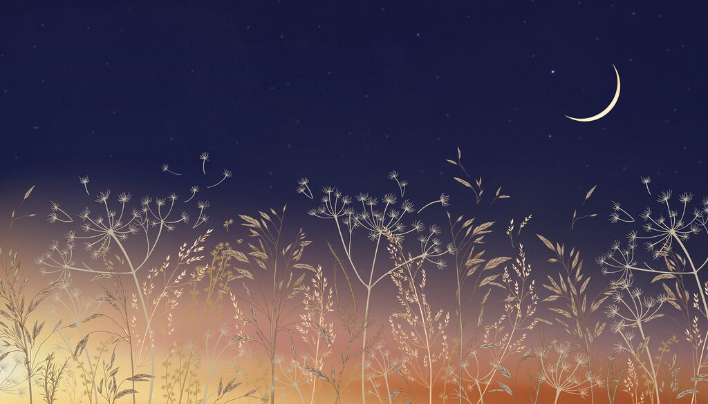 Field of grass and flowers Field of grass and flowers