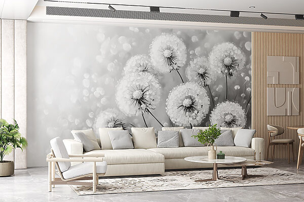 Group of dandelions in black and white Group of dandelions in black and white
