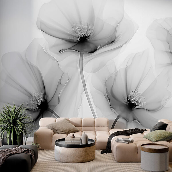 Group of flowers with white petals Group of flowers with white petals