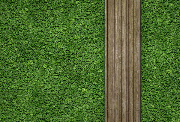 Wood plank on a green wall Wood plank on a green wall