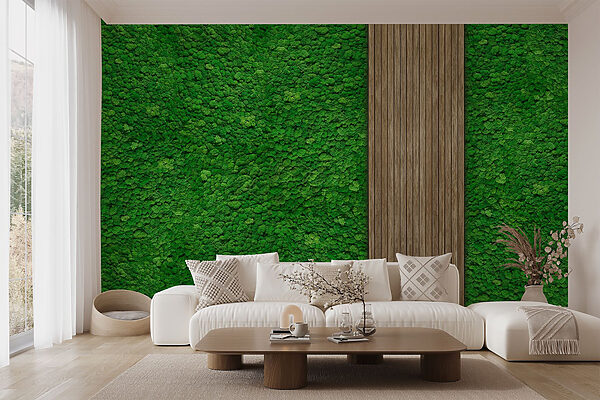 Wood plank on a green wall Wood plank on a green wall