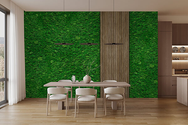 Wood plank on a green wall Wood plank on a green wall