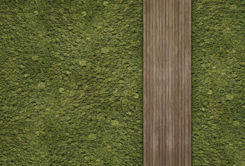 Wood plank on a green carpet Wood plank on a green carpet