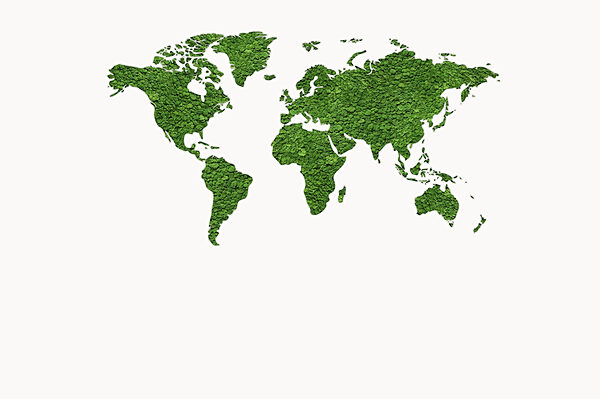 Map of the world made of green plants Map of the world made of green plants