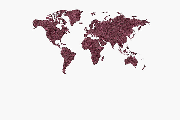 Map of the world Map of the world