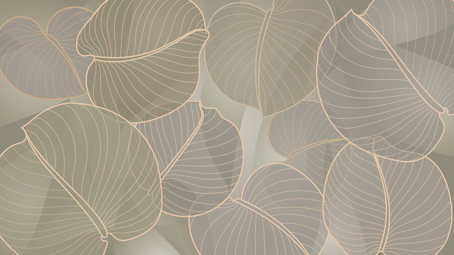 Soft leaves in soothing colors