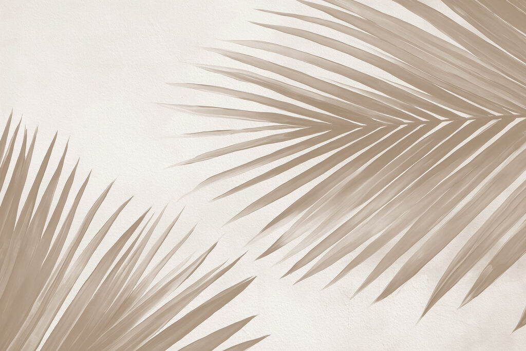 Elegant palm leaves on a soft background Elegant palm leaves on a soft background
