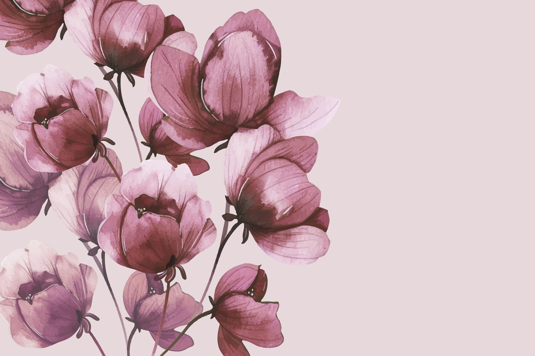 Delicate blooms in soft hues Delicate blooms in soft hues