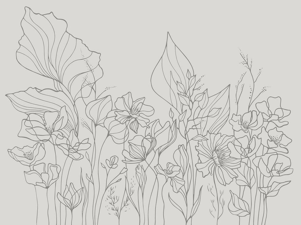 Line drawing of flowers Line drawing of flowers