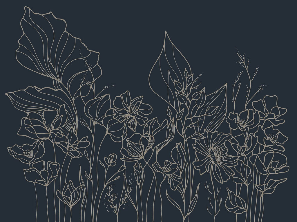 Line drawing of flowers Line drawing of flowers