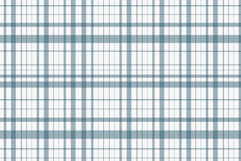 Blue and white plaid w02852v1p 1024x685 - Blue and white plaid