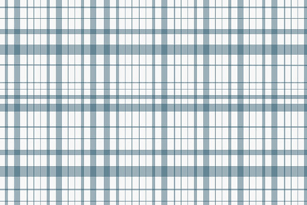 Blue and white plaid w02852v1p 600x401 - Blue and white plaid
